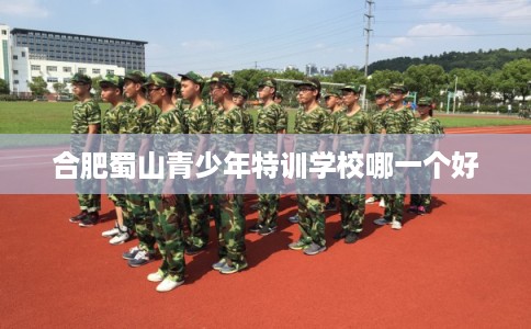 合肥蜀山青少年特训学校哪一个好