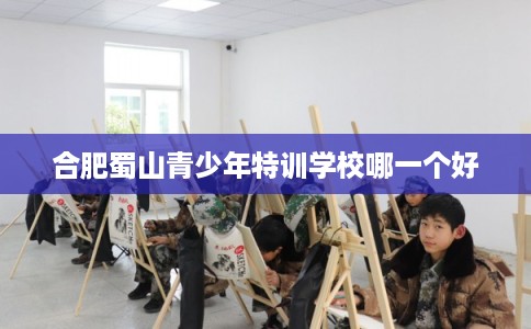 合肥蜀山青少年特训学校哪一个好