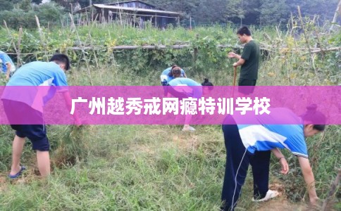 广州越秀戒网瘾特训学校