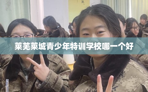莱芜莱城青少年特训学校哪一个好 莱芜莱城青少年特训学校哪一个好