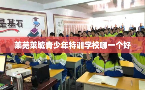 莱芜莱城青少年特训学校哪一个好