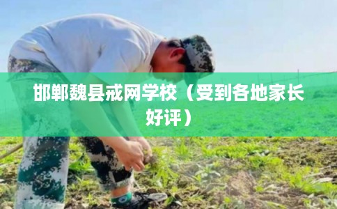 邯郸魏县戒网学校（受到各地家长好评）