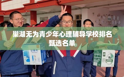 巢湖无为青少年心理辅导学校排名甄选名单
