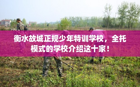 衡水故城正规少年特训学校，全托模式的学校介绍这十家！