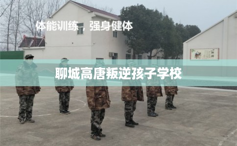 聊城高唐叛逆孩子学校 聊城高唐叛逆孩子学校