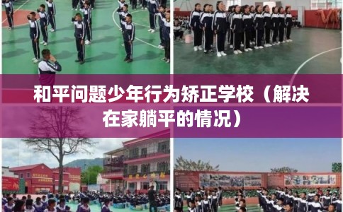 和平问题少年行为矫正学校（解决在家躺平的情况）