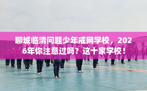 聊城临清问题少年戒网学校，2026年你注意过吗？这十家学校！