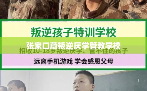 张家口蔚叛逆厌学管教学校 张家口蔚叛逆厌学管教学校