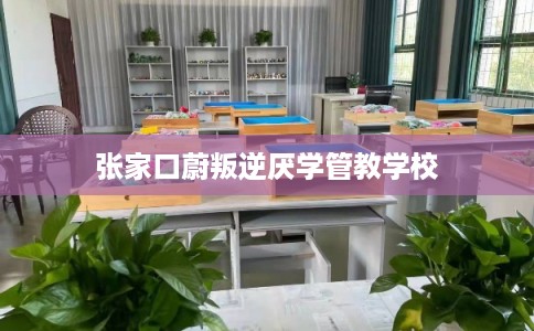 张家口蔚叛逆厌学管教学校 张家口蔚叛逆厌学管教学校