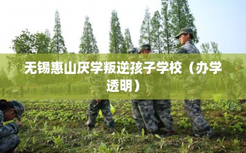 无锡惠山厌学叛逆孩子学校(办学透明) 无锡惠山厌学叛逆孩子学校(办学透明)