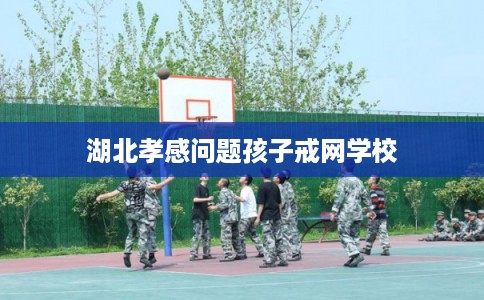 湖北孝感问题孩子戒网学校