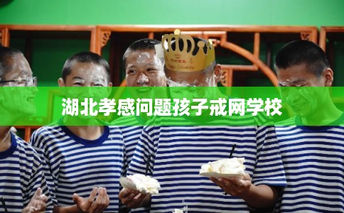 湖北孝感问题孩子戒网学校