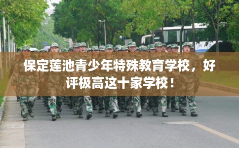 保定莲池青少年特殊教育学校，好评极高这十家学校！