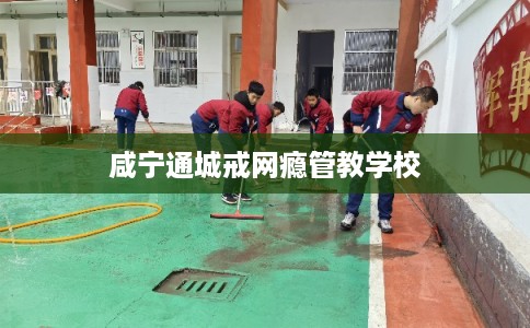 咸宁通城戒网瘾管教学校