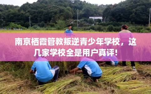 南京栖霞管教叛逆青少年学校，这几家学校全是用户真评!