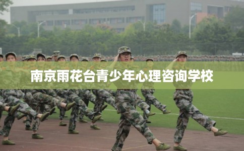 南京雨花台青少年心理咨询学校
