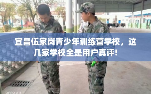 宜昌伍家岗青少年训练营学校，这几家学校全是用户真评!