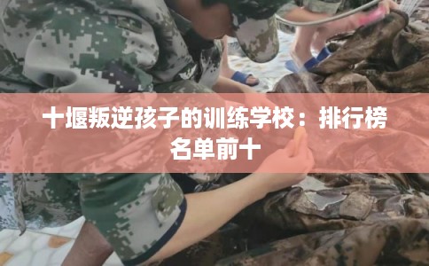 十堰叛逆孩子的训练学校：排行榜名单前十