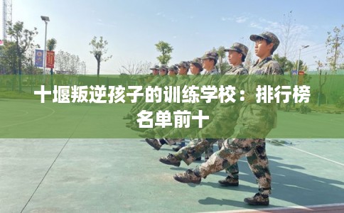 十堰叛逆孩子的训练学校：排行榜名单前十