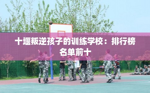 十堰叛逆孩子的训练学校：排行榜名单前十