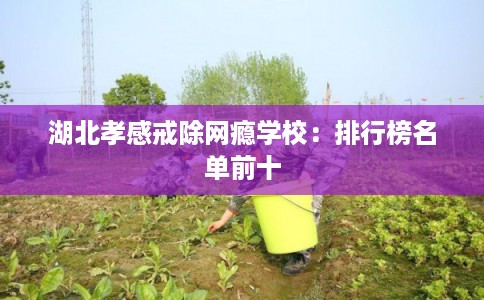 湖北孝感戒除网瘾学校：排行榜名单前十