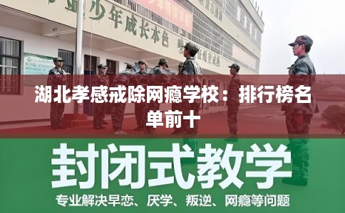 湖北孝感戒除网瘾学校：排行榜名单前十