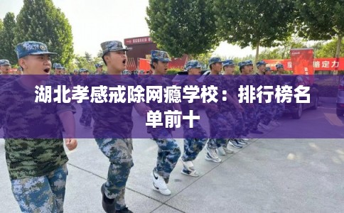 湖北孝感戒除网瘾学校：排行榜名单前十