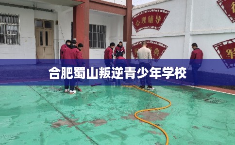 合肥蜀山叛逆青少年学校 合肥蜀山叛逆青少年学校