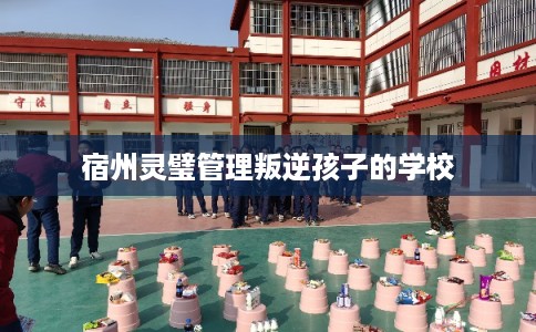 宿州灵璧管理叛逆孩子的学校