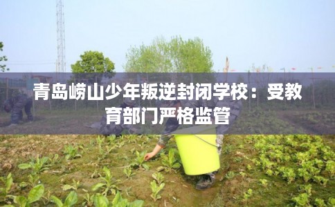 青岛崂山少年叛逆封闭学校：受教育部门严格监管