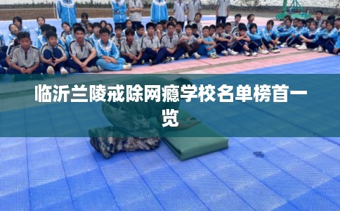 临沂兰陵戒除网瘾学校名单榜首一览
