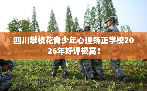 四川攀枝花青少年心理矫正学校2026年好评极高！