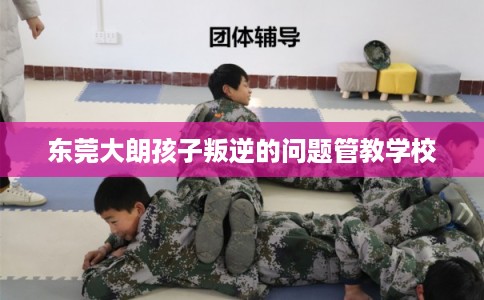 东莞大朗孩子叛逆的问题管教学校
