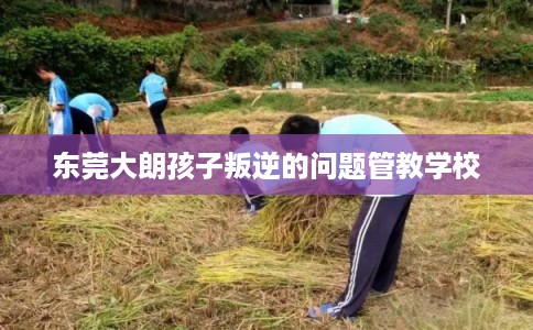东莞大朗孩子叛逆的问题管教学校