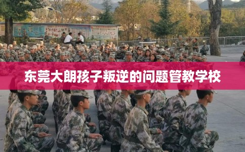 东莞大朗孩子叛逆的问题管教学校
