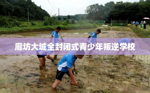 廊坊大城全封闭式青少年叛逆学校