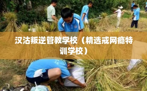 汉沽叛逆管教学校（精选戒网瘾特训学校）