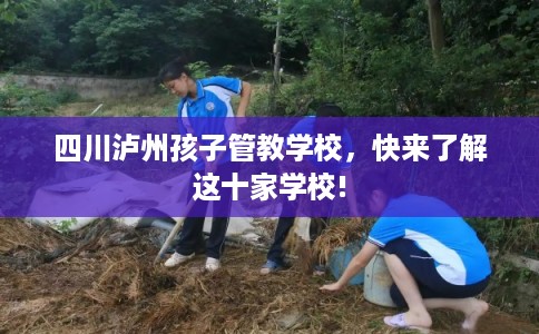 四川泸州孩子管教学校，快来了解这十家学校!