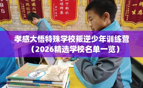 孝感大悟特殊学校叛逆少年训练营（2026精选学校名单一览）