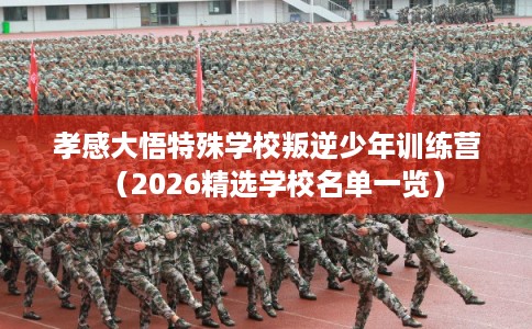 孝感大悟特殊学校叛逆少年训练营（2026精选学校名单一览）