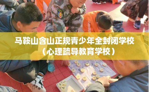马鞍山含山正规青少年全封闭学校（心理疏导教育学校）
