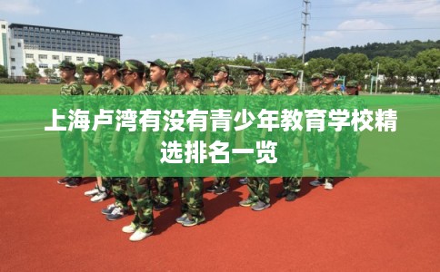 上海卢湾有没有青少年教育学校精选排名一览