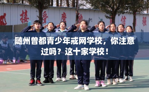 随州曾都青少年戒网学校，你注意过吗？这十家学校！