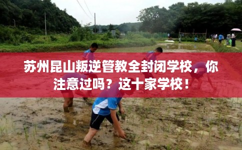 苏州昆山叛逆管教全封闭学校，你注意过吗？这十家学校！