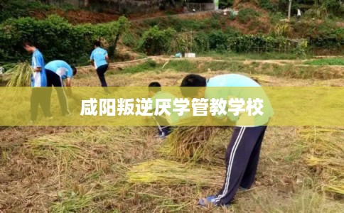 咸阳叛逆厌学管教学校