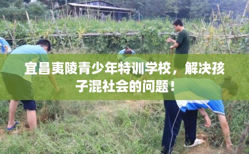 宜昌夷陵青少年特训学校，解决孩子混社会的问题！