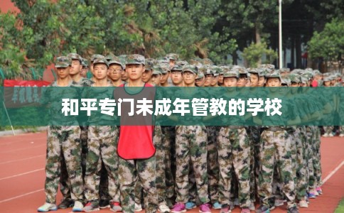和平专门未成年管教的学校