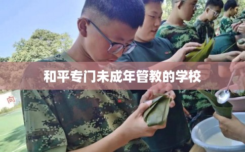 和平专门未成年管教的学校