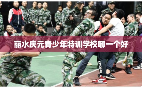 丽水庆元青少年特训学校哪一个好