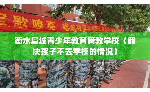 衡水阜城青少年教育管教学校（解决孩子不去学校的情况）